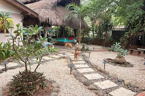 Coco, Sardinal, Guanacaste, Costa Rica