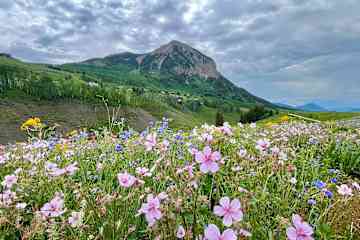 Crested Butte,Colorado,United States