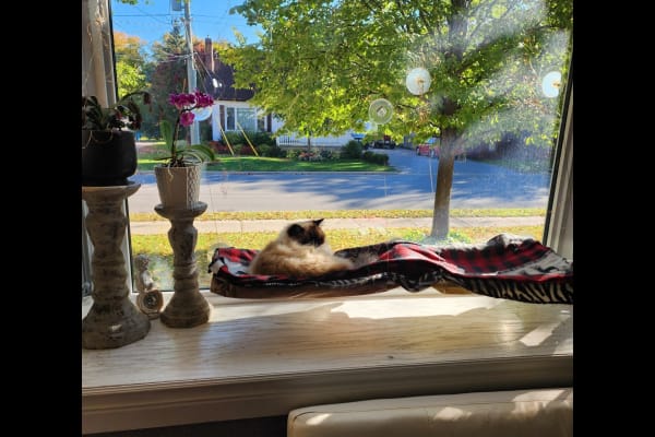 Lindsay, Ontario, Canada