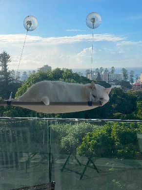 Manly, Northern Beaches, Sydney, Northern Beaches, NSW Australia
