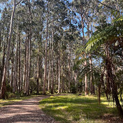 Belgrave, Victoria, Australia