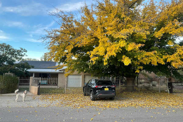 Albuquerque, New Mexico, United States