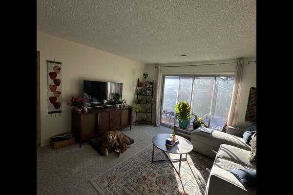 Denver,Colorado,United States