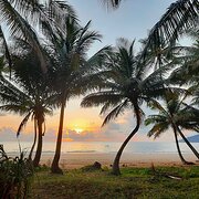 Mission Beach, Queensland, Australia