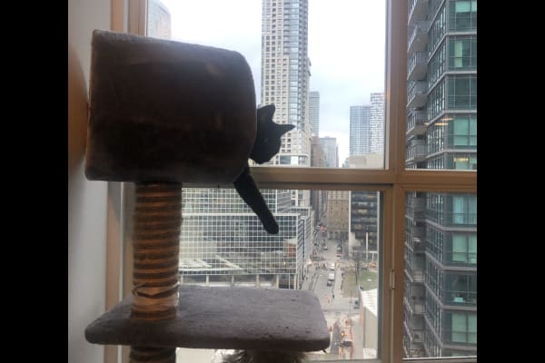 Toronto, Ontario, Canada