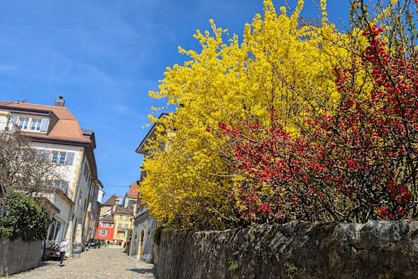 Neuchâtel,Neuchatel,Switzerland