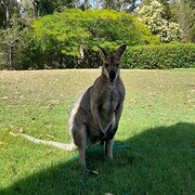 Capalaba, Queensland, Australia