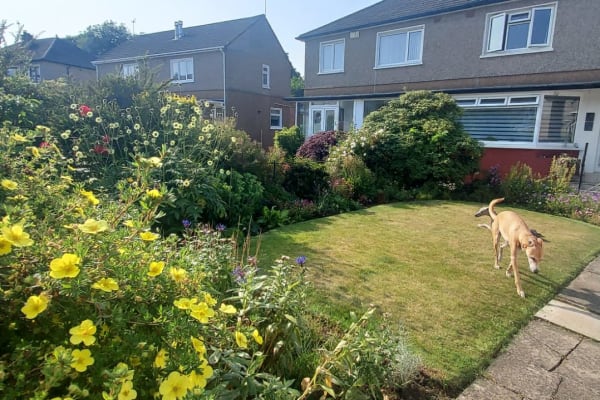 Bearsden,Scotland,United Kingdom