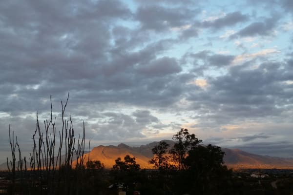 Tucson,Arizona,United States