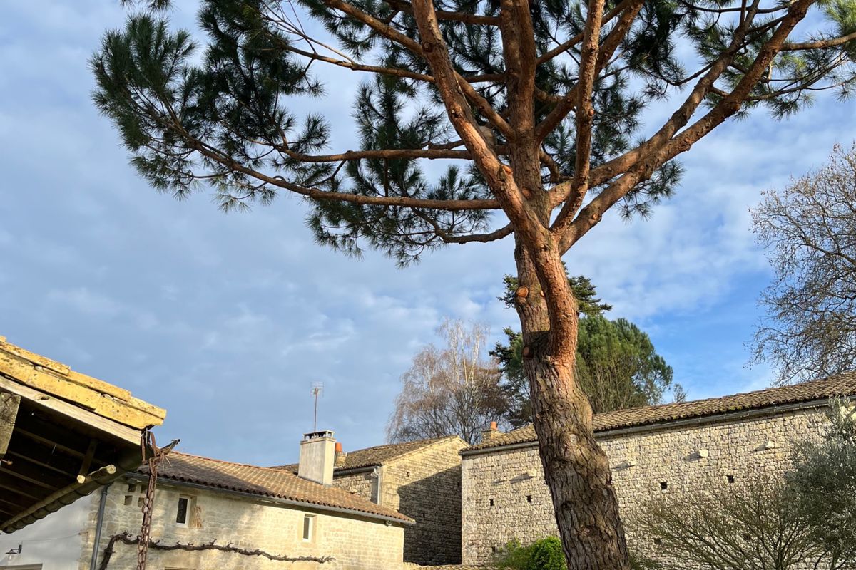 Périgné,Nouvelle-Aquitaine, France