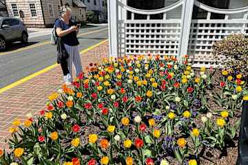 Lewes,Delaware,United States