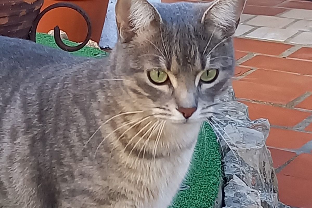Fuseta,Faro District, Portugal