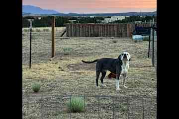 Santa Fe,New Mexico,United States