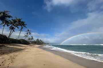 Waialua,Hawaii,United States