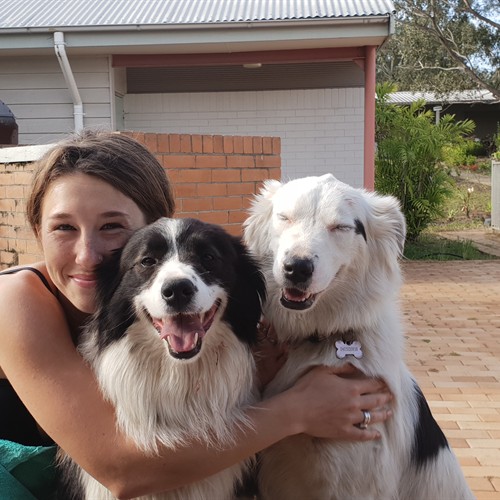 LOVEDALE, NSW 2325, Australia