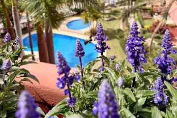Estepona,Andalusia,Spain