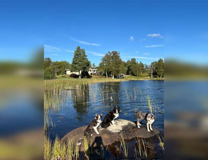 Bollebygd, Västra Götalands län, Sweden