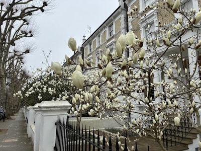 London,United Kingdom
