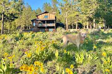 New Meadows,Idaho,United States