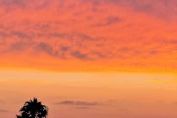 San Diego,California,United States