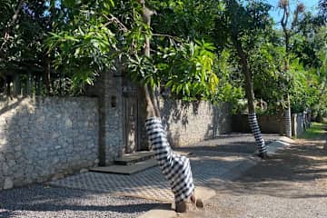 Pemuteran,Bali,Indonesia