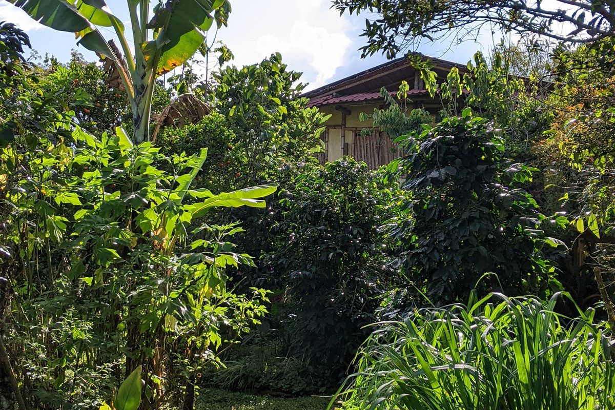 San Agustín,Huila, Colombia