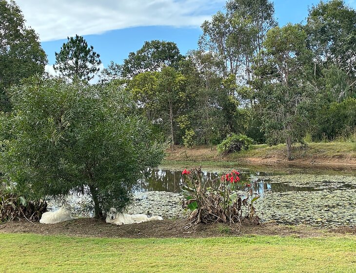 Glenwood, Queensland, Australia