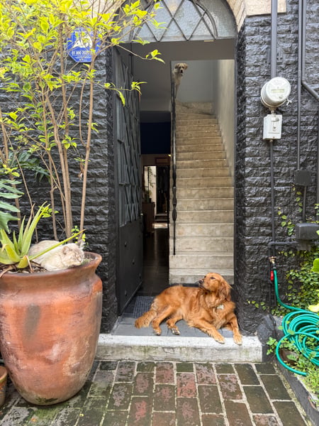 Mexico City, DF, Mexico