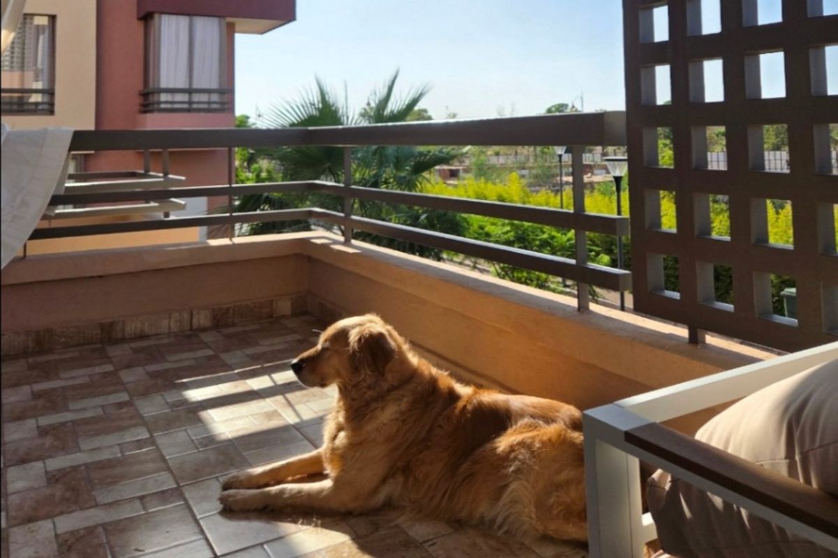 Marrakesh,Marrakesh-Safi, Morocco