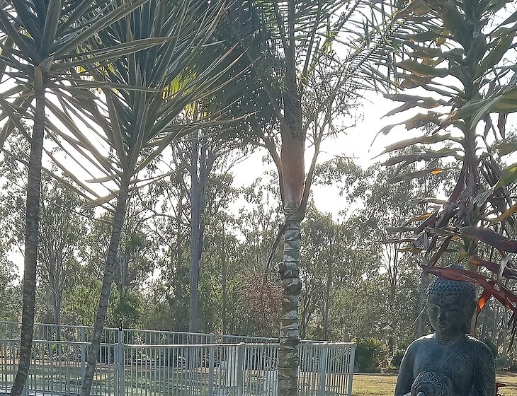 Paterson, Queensland, Australia