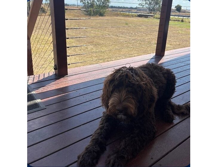 Coolana, Queensland, Australia