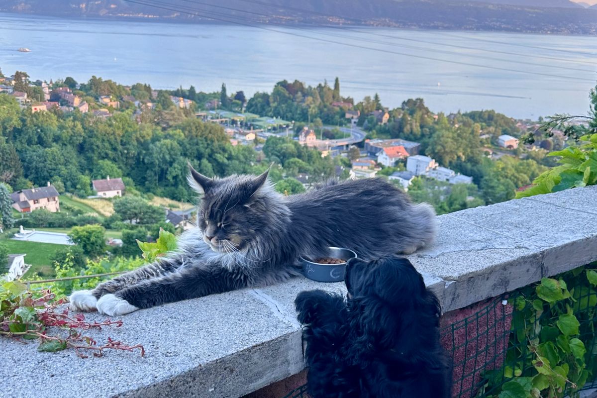 Belmont-sur-Lausanne,Vaud, Switzerland