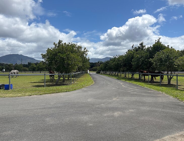 Gordonvale, Queensland, Australia