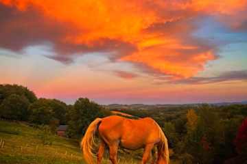 Escosse,Occitania,France