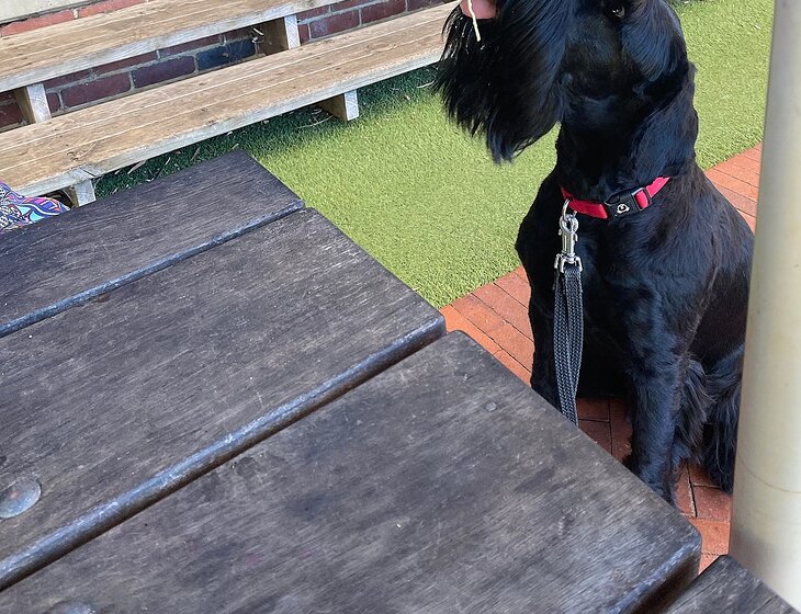 Alfred Cove, Wa, 6154, Western Australia, Australia