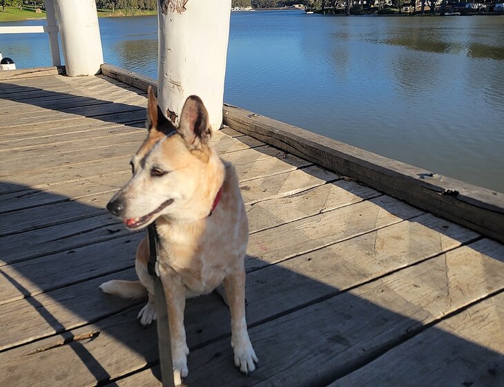 Mildura, Victoria, Australia