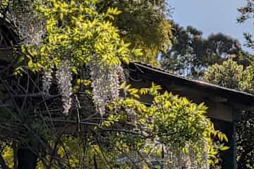 Maylands,Western Australia,Australia
