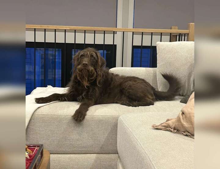 Cedar, Iowa, United States