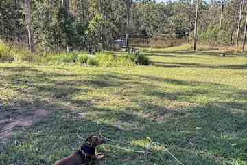 Nabiac,New South Wales,Australia