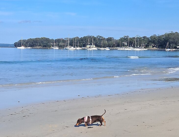 Callala Bay, New South Wales, Australia