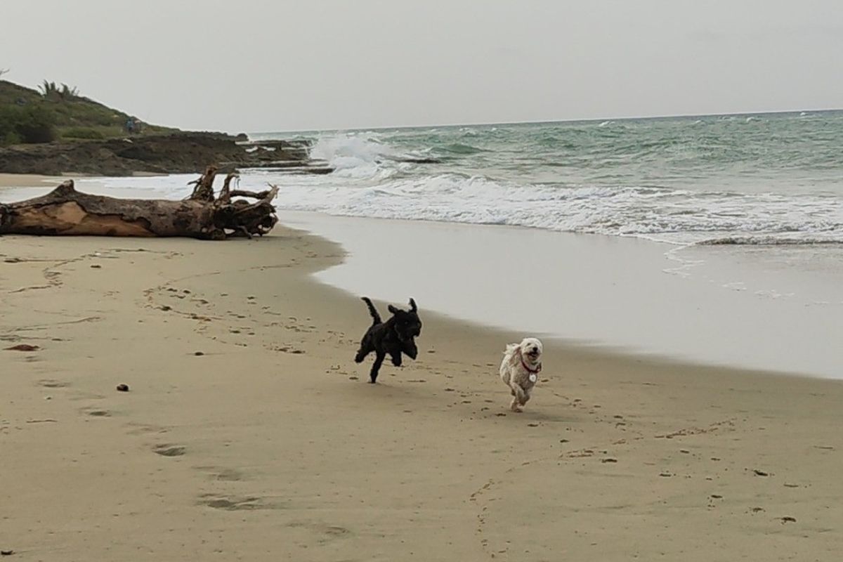 Cabarete,Puerto Plata Province, Dominican Republic