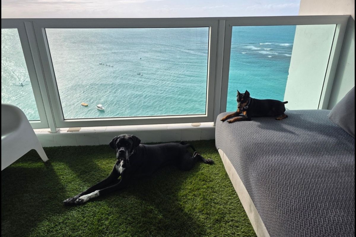 Carolina,Carolina, Puerto Rico