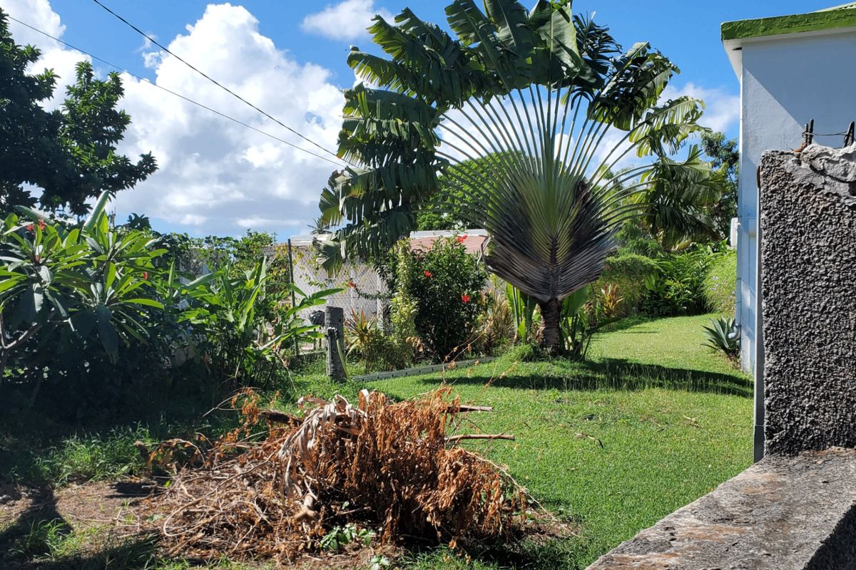 Saint-François,Grande-Terre, Guadeloupe
