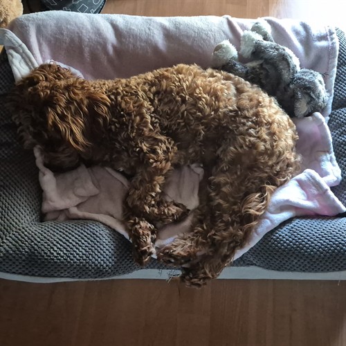 STRATTON, WA 6056, Australia