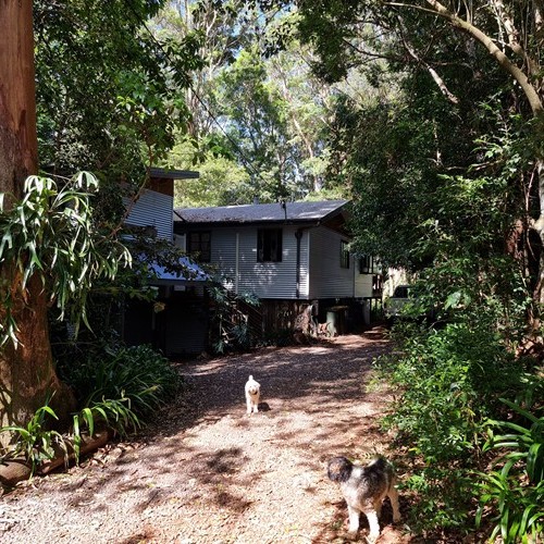 TAMBORINE MOUNTAIN, QLD 4272, Australia