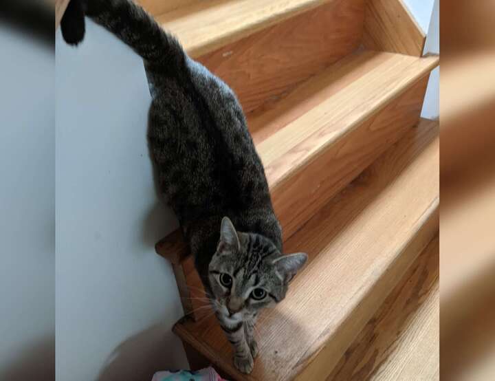 Ann Arbor, Michigan, United States