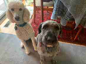 Martin Acres, South Boulder, Boulder, USA, Colorado United States