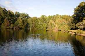 Southeast, Located between Columbia and Sumter, SC, Richland, South Carolina United States