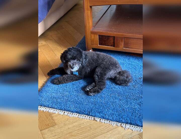 Nommern, Mersch, Luxembourg