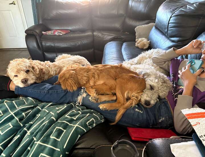 Las Vegas, Nevada, United States